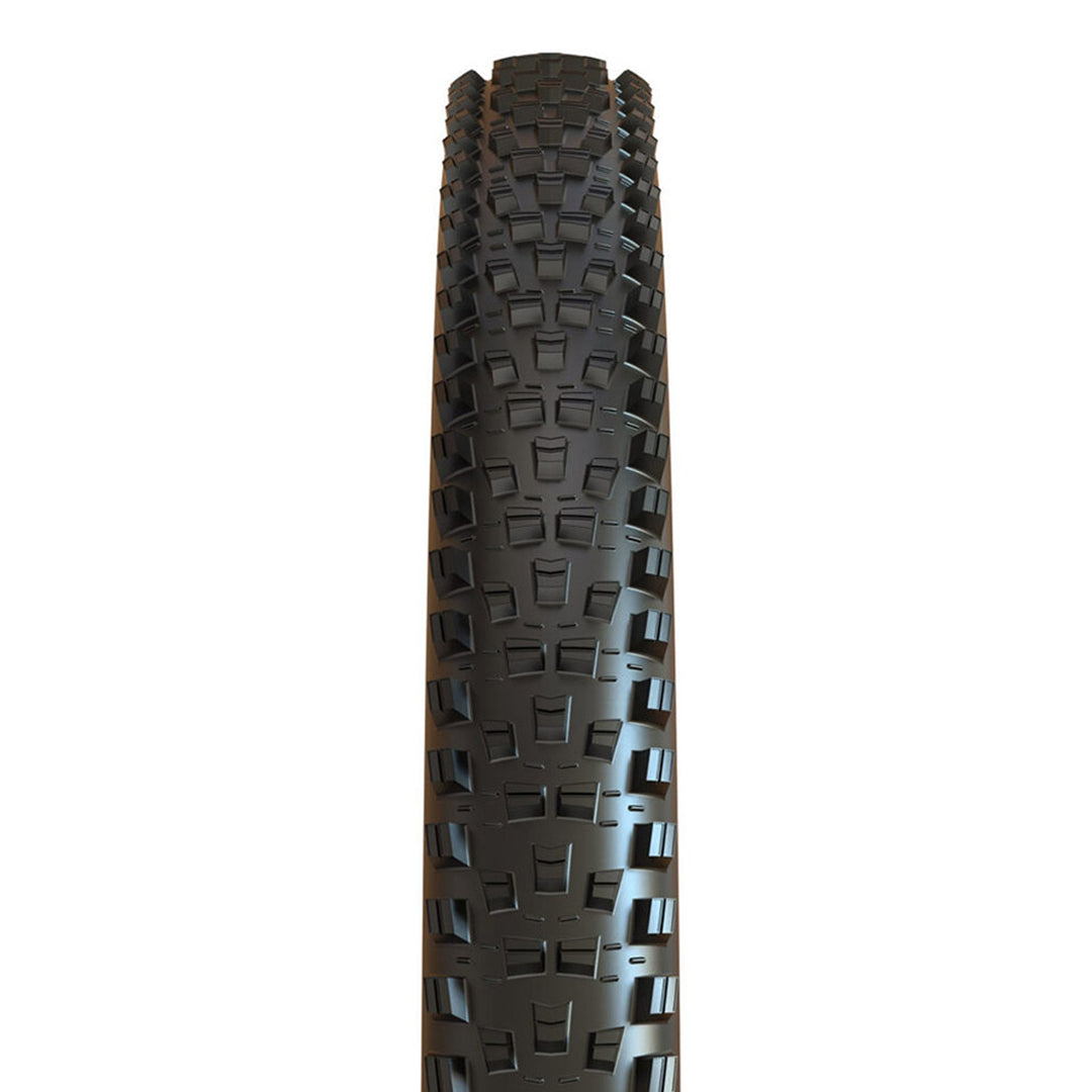 Forekaster Tire - Folding - Tubeless Ready - Black