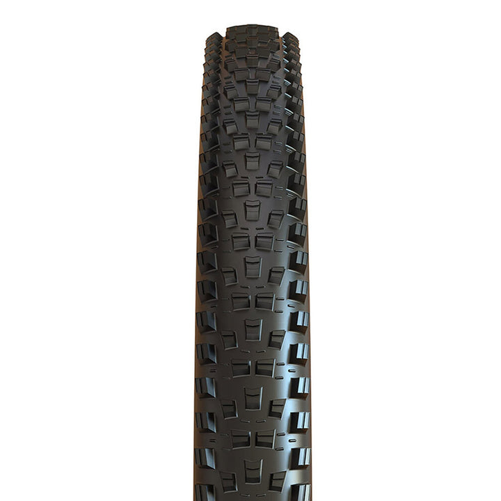 Forekaster Tire - Folding - Tubeless Ready - Black