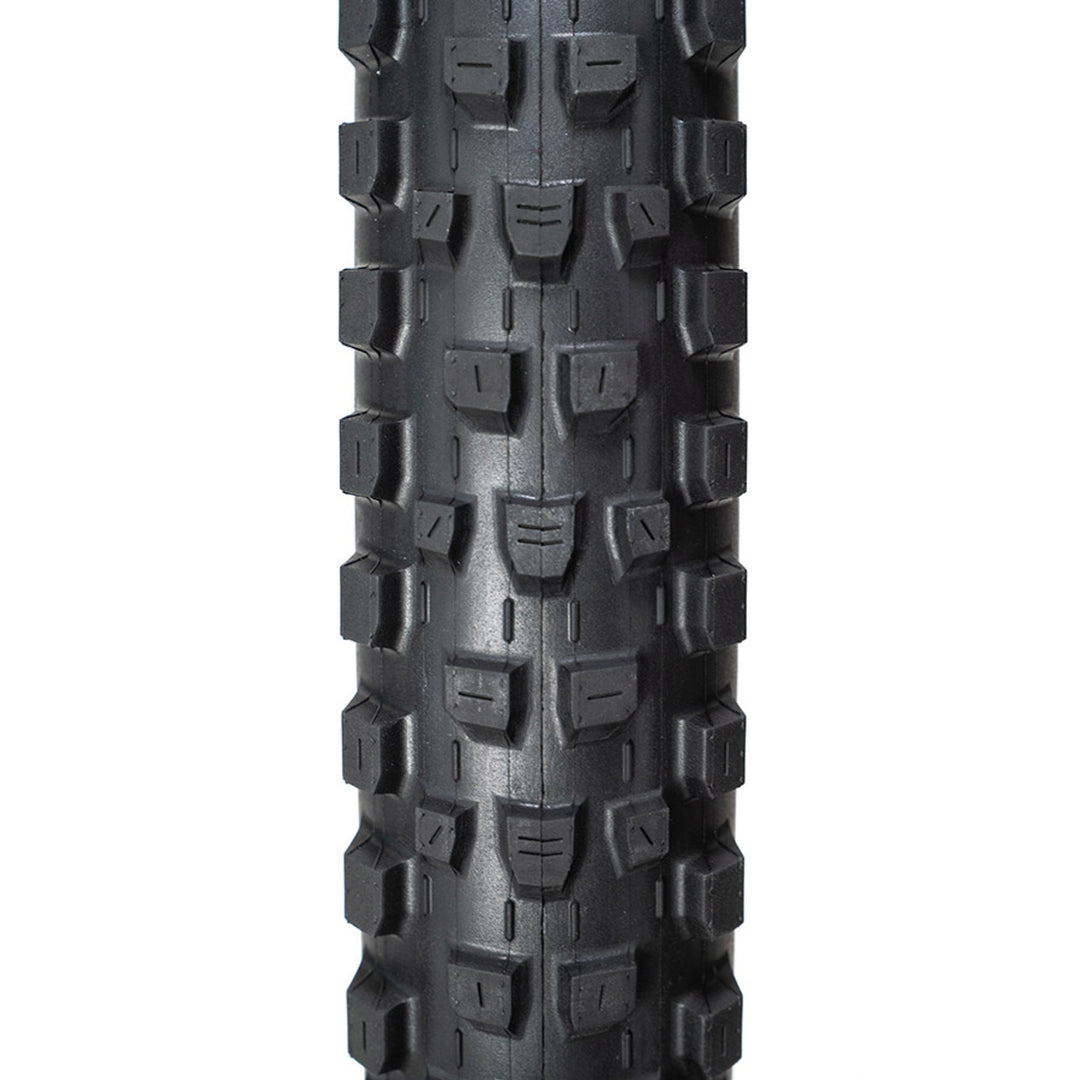 Dissector II Tire - Folding - Tubeless Ready - Black
