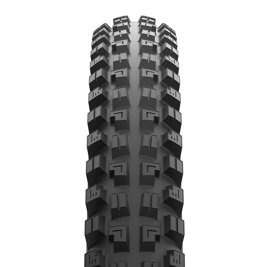 Minion DHX Tire - Folding - Tubeless Ready - Black
