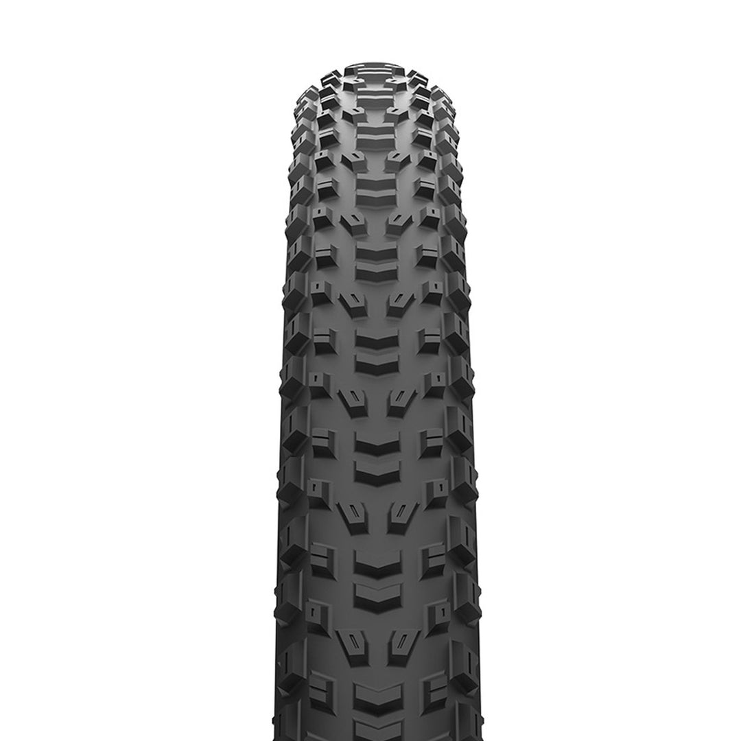 Aspen AT Tire - Folding - Tubeless Ready - Black