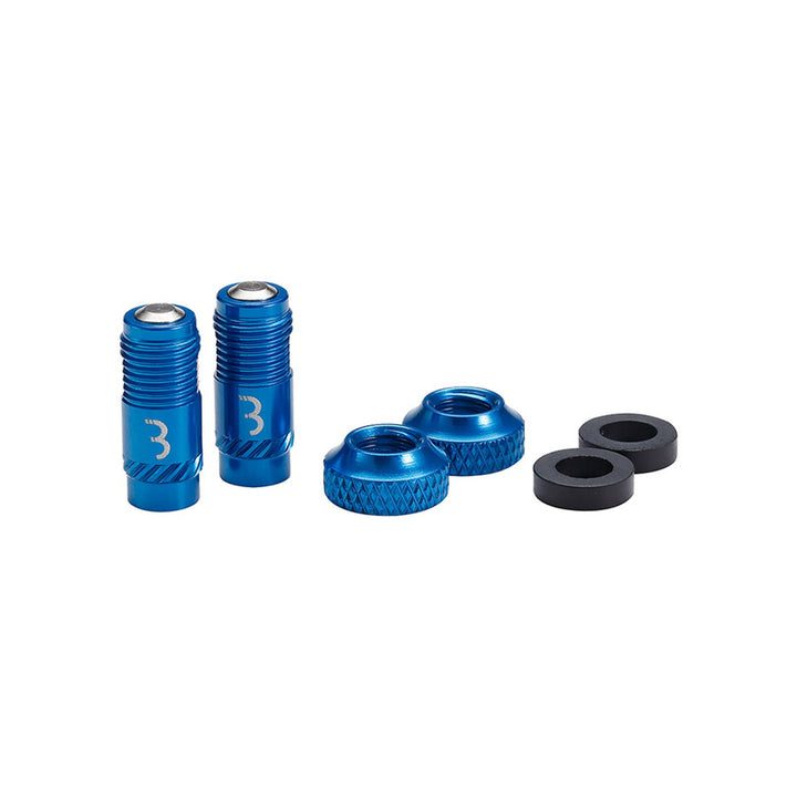 BTI-165 CoreCap Tube
