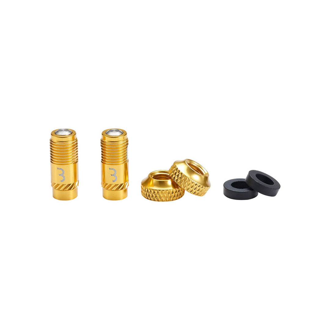 BTI-165 CoreCap Tube