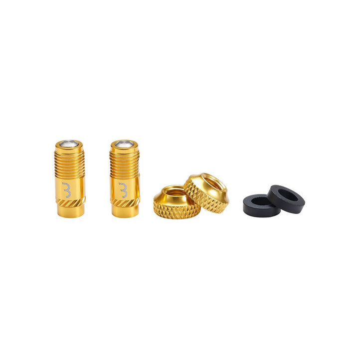 BTI-165 CoreCap Tube