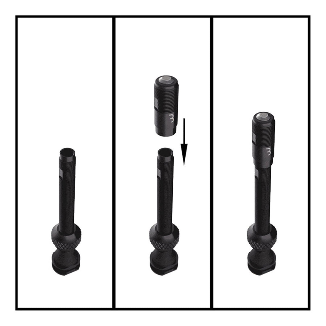 BTI-166 Valve CoreCap, Tubeless Valve, 40mm, Black, Pair
