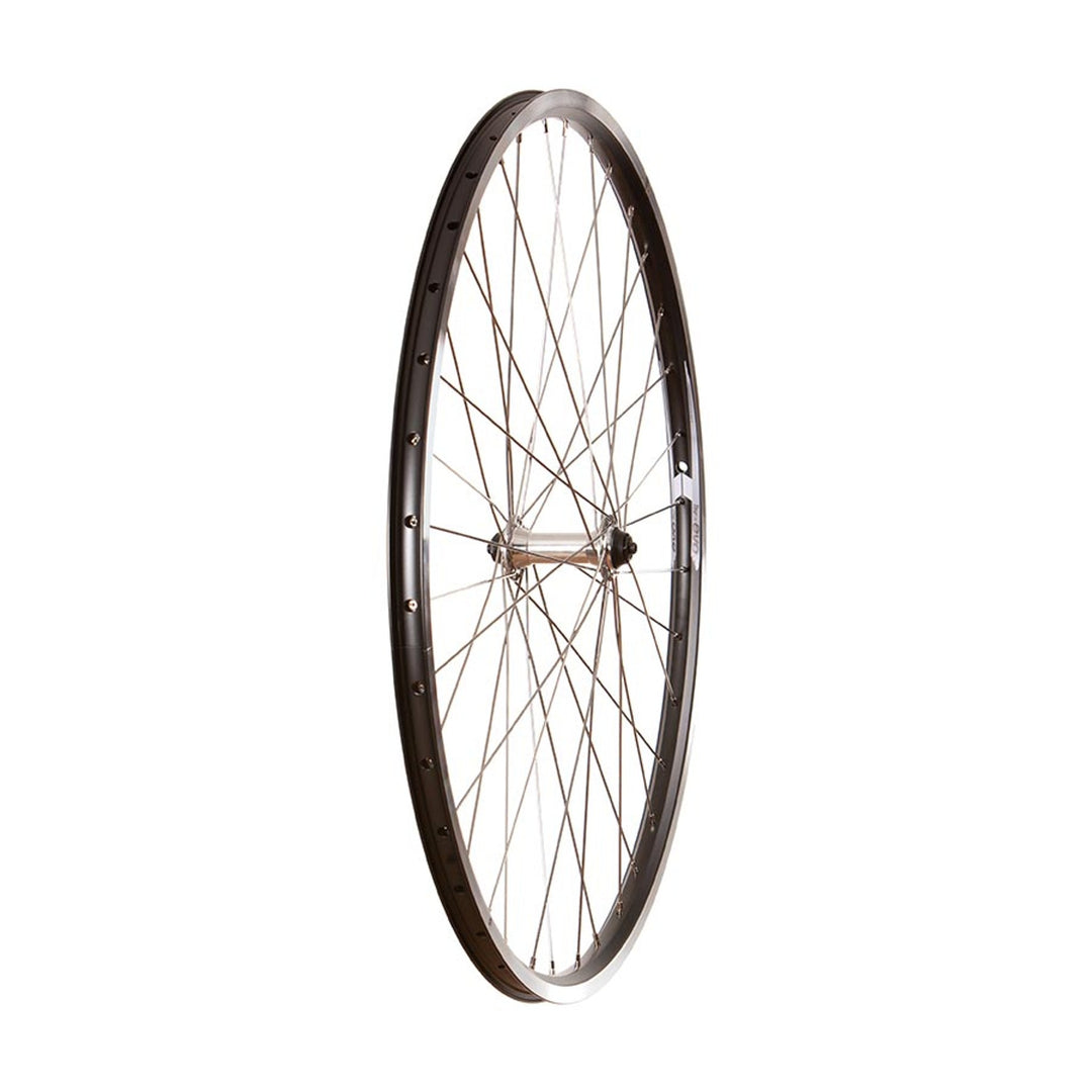 Touring - 700C - Evo Tour 19 Black/Stainless Wheel