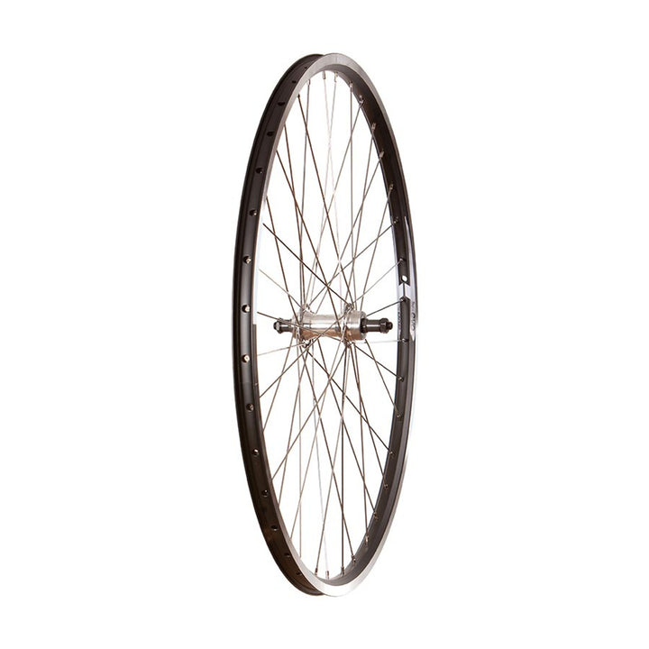 Touring - 700C - Evo Tour 19 Black/Stainless Wheel