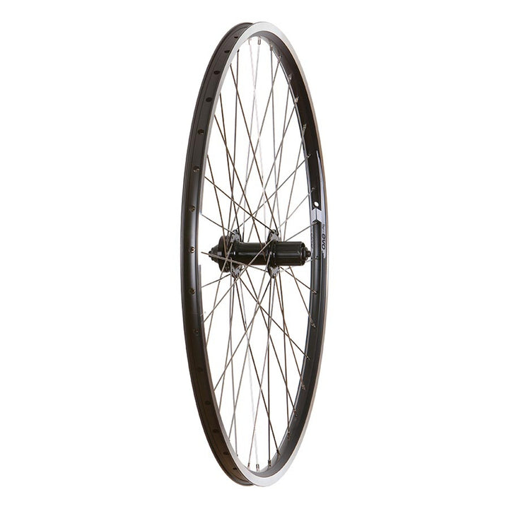 Touring - 700C - Evo Tour 19 Black/Stainless Wheel