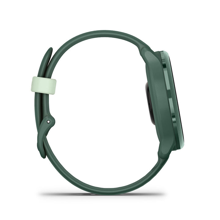 vivoactive 6