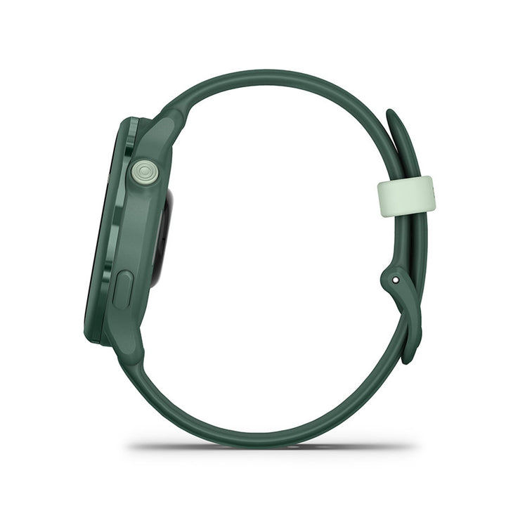 vivoactive 6