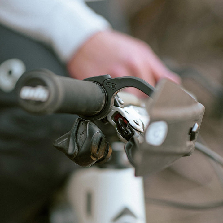 Guardian Handguards
