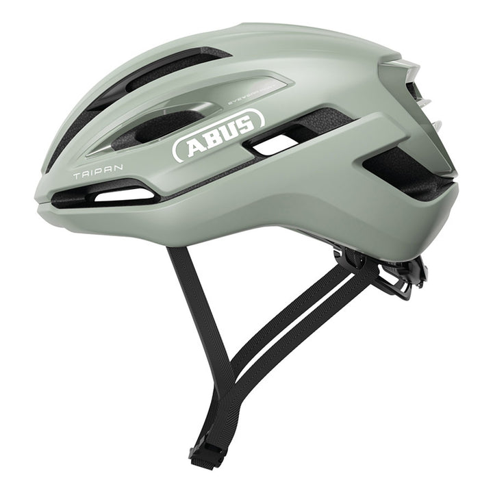 Taipan Helmet