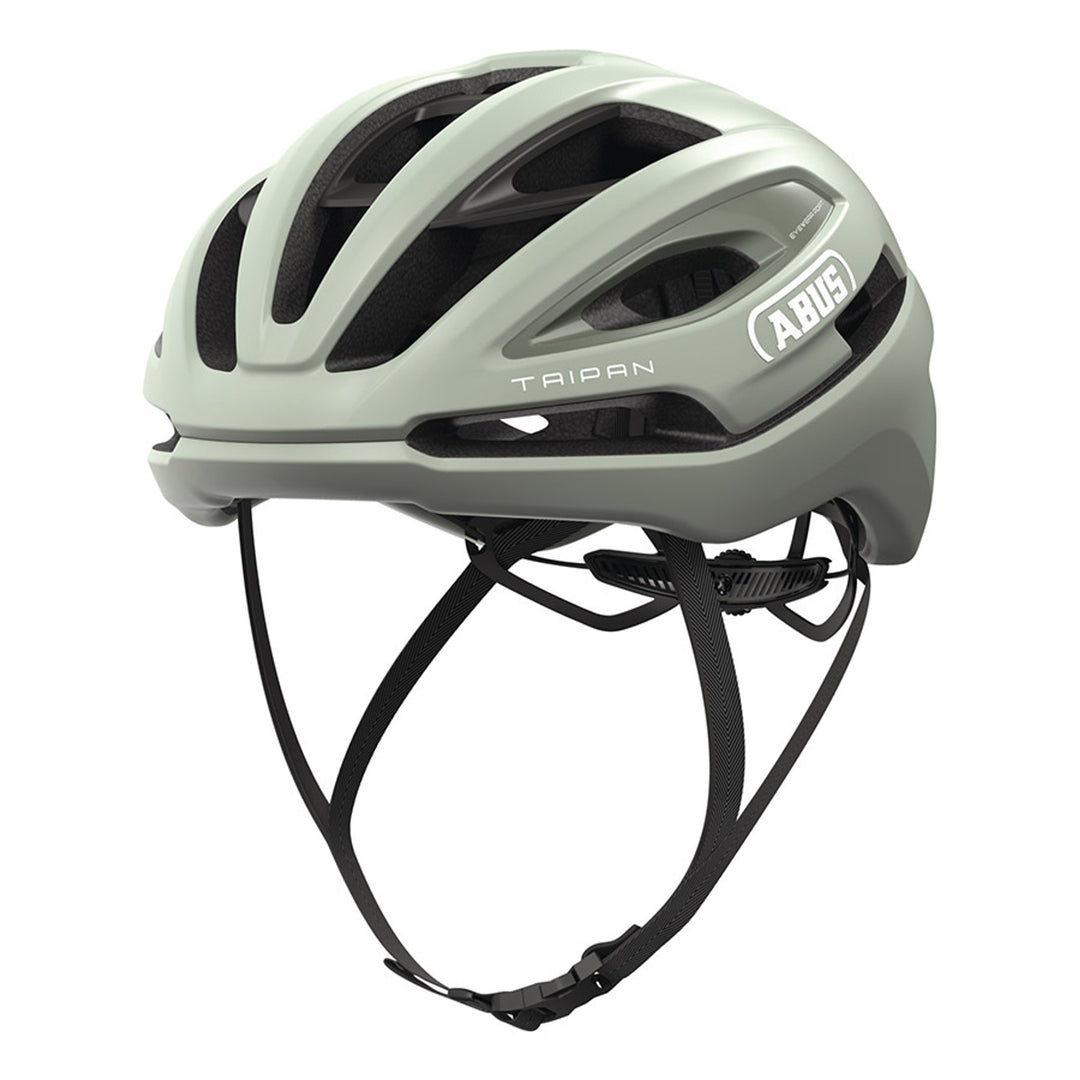 Taipan Helmet
