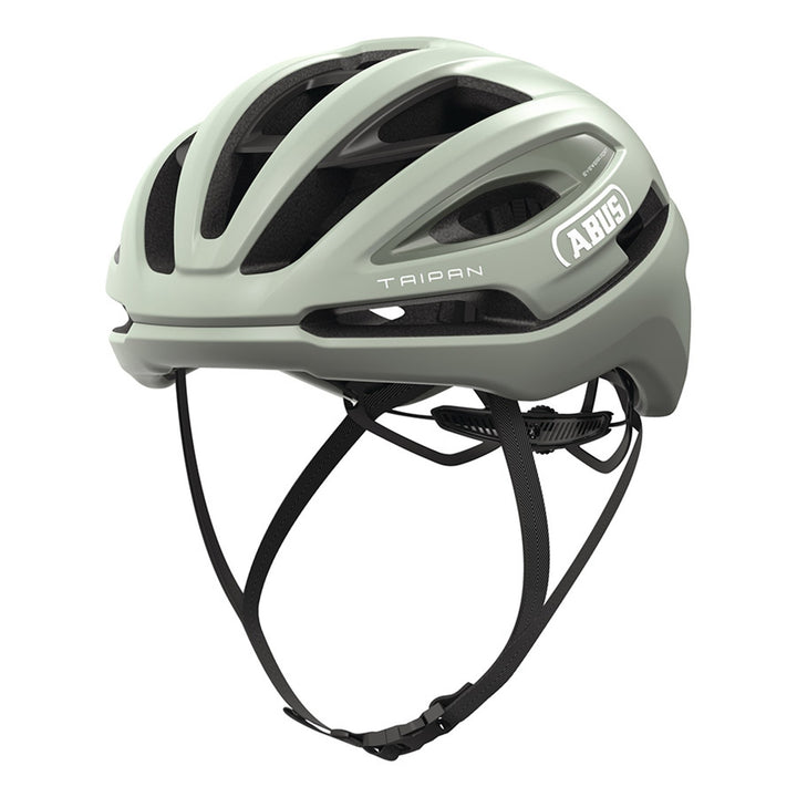 Taipan Helmet