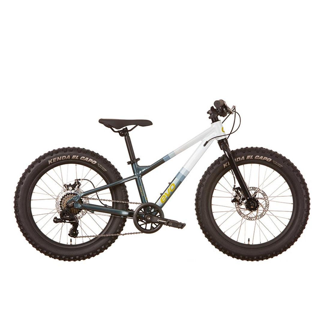 Cadet 20, Kids Bicycle, 20'', Blue-White