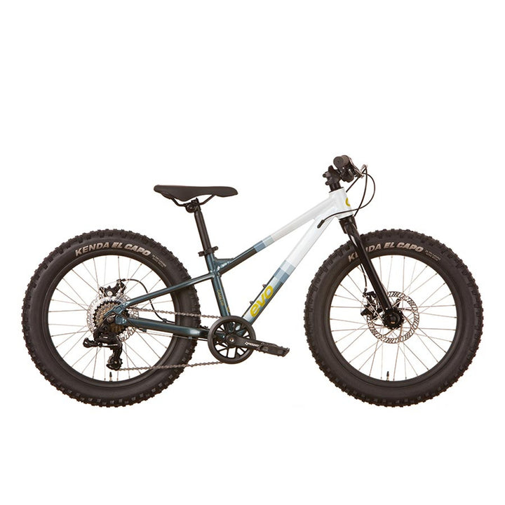 Cadet 20, Kids Bicycle, 20'', Blue-White